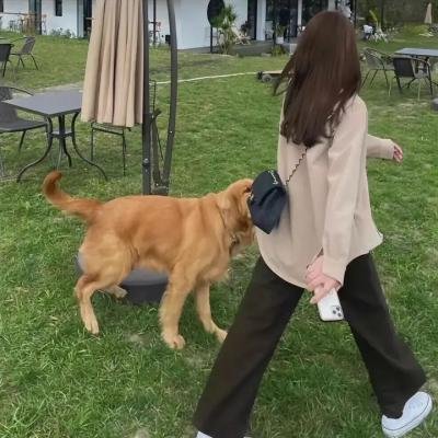 红色谜团